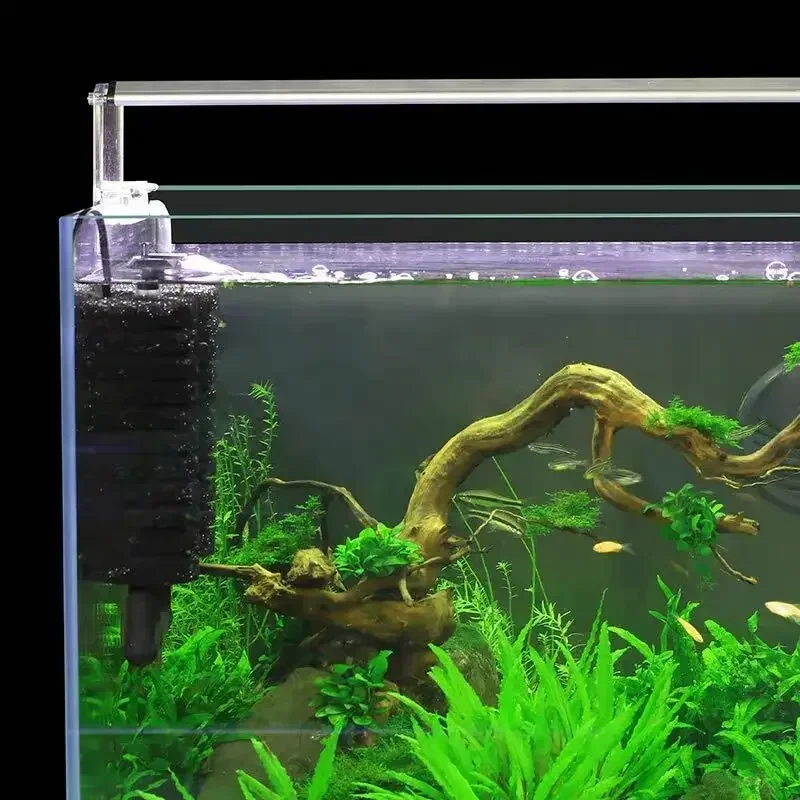 3-IN-1 Clip on Electric Power  - Planted Aquarium Media 评论和价格