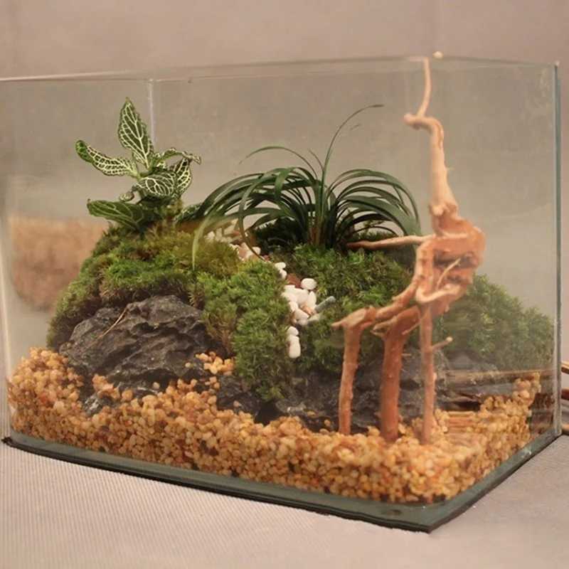 Natural Tree Trunk Driftwood A - Aquarium Plant Root Tabs 评论和价格