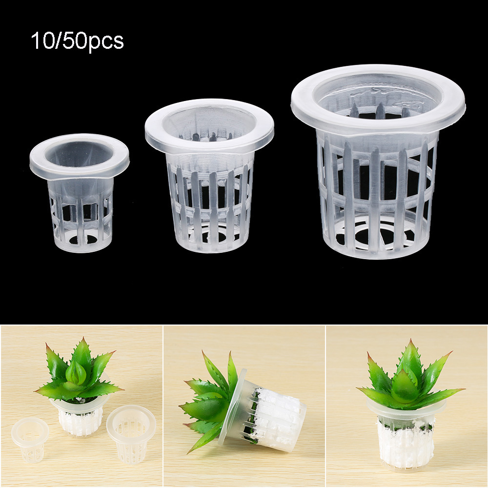 10/50pcs Durable Planting Aqua - Aquarium Planted Seeds 评论和价格