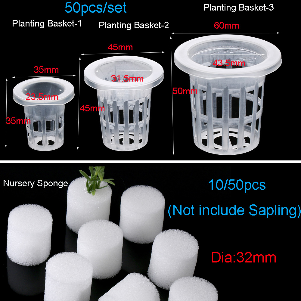 10/50pcs Durable Planting Aqua - Aquarium Planted Seeds 评论和价格
