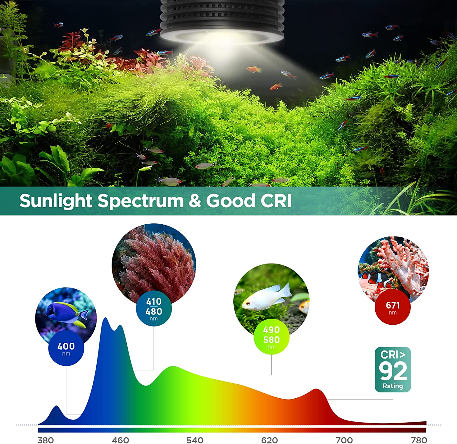 Lominie Asta 20 Freshwater 18W - Planted Aquarium Uv Light 评论和价格