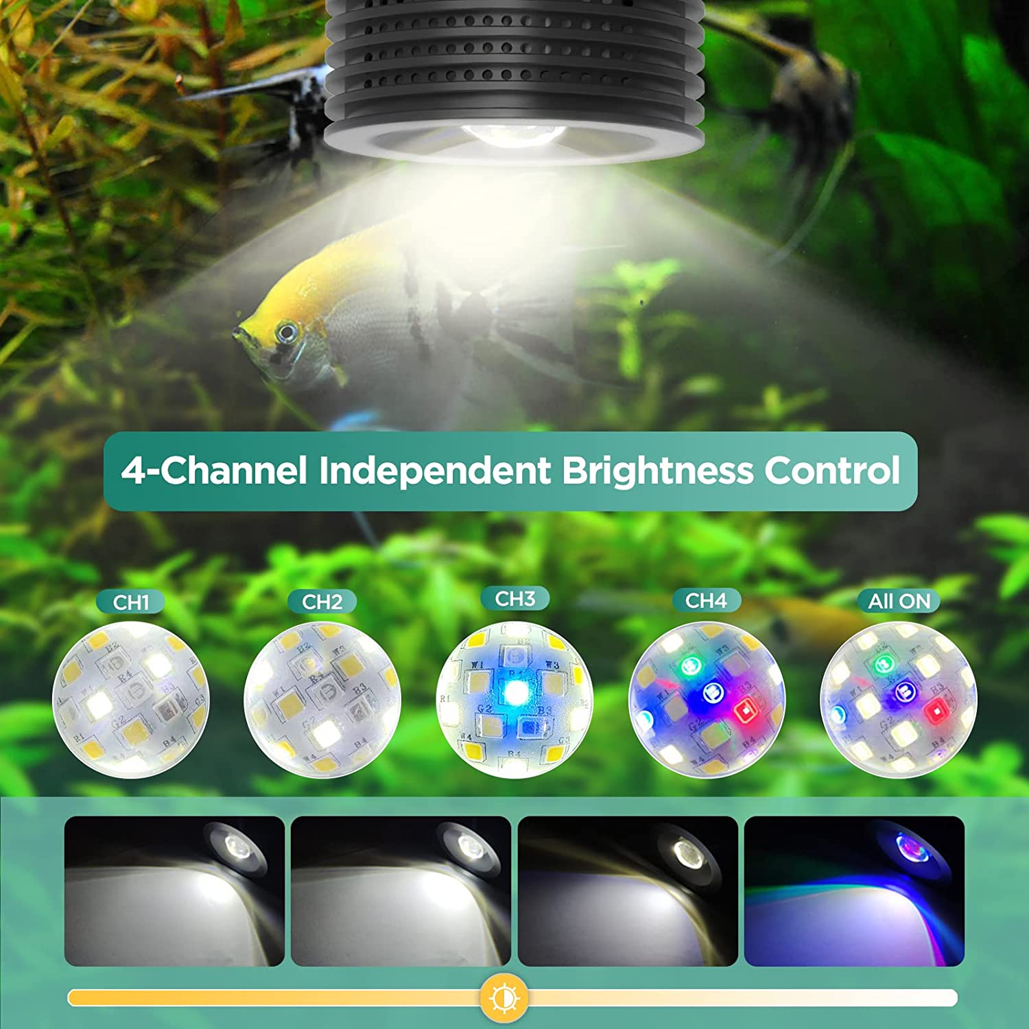 Lominie Asta 20 Freshwater 18W - Planted Aquarium Uv Light 评论和价格